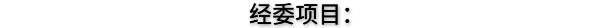 經(jīng)委項目